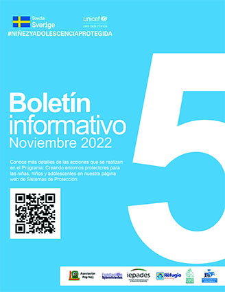 Boletin_Informativo_Nov2022